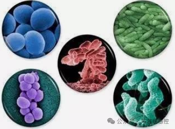 为何医院感染诊断相关病原学送检率突然不达标？如何解决这一难题？ ...